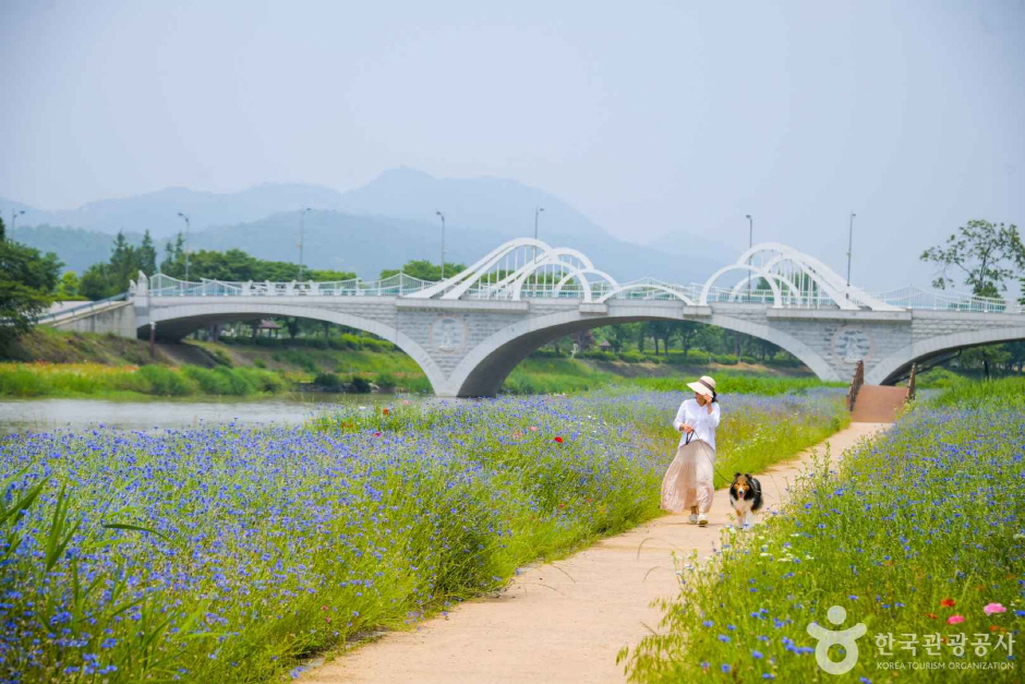 반려동물과 함께 오수의견관광지에서 산책