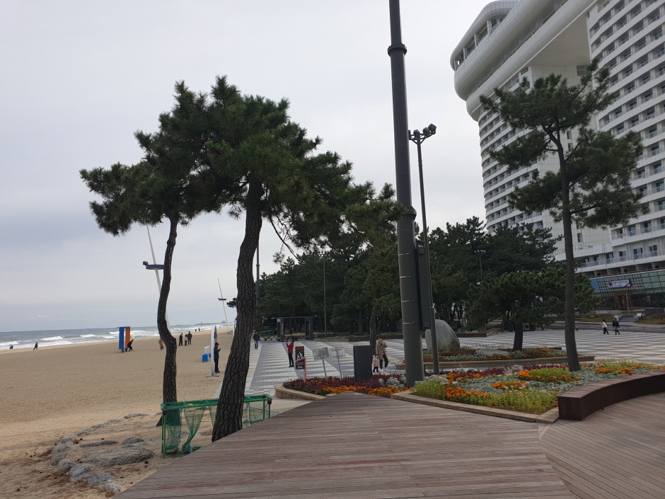 무장애길