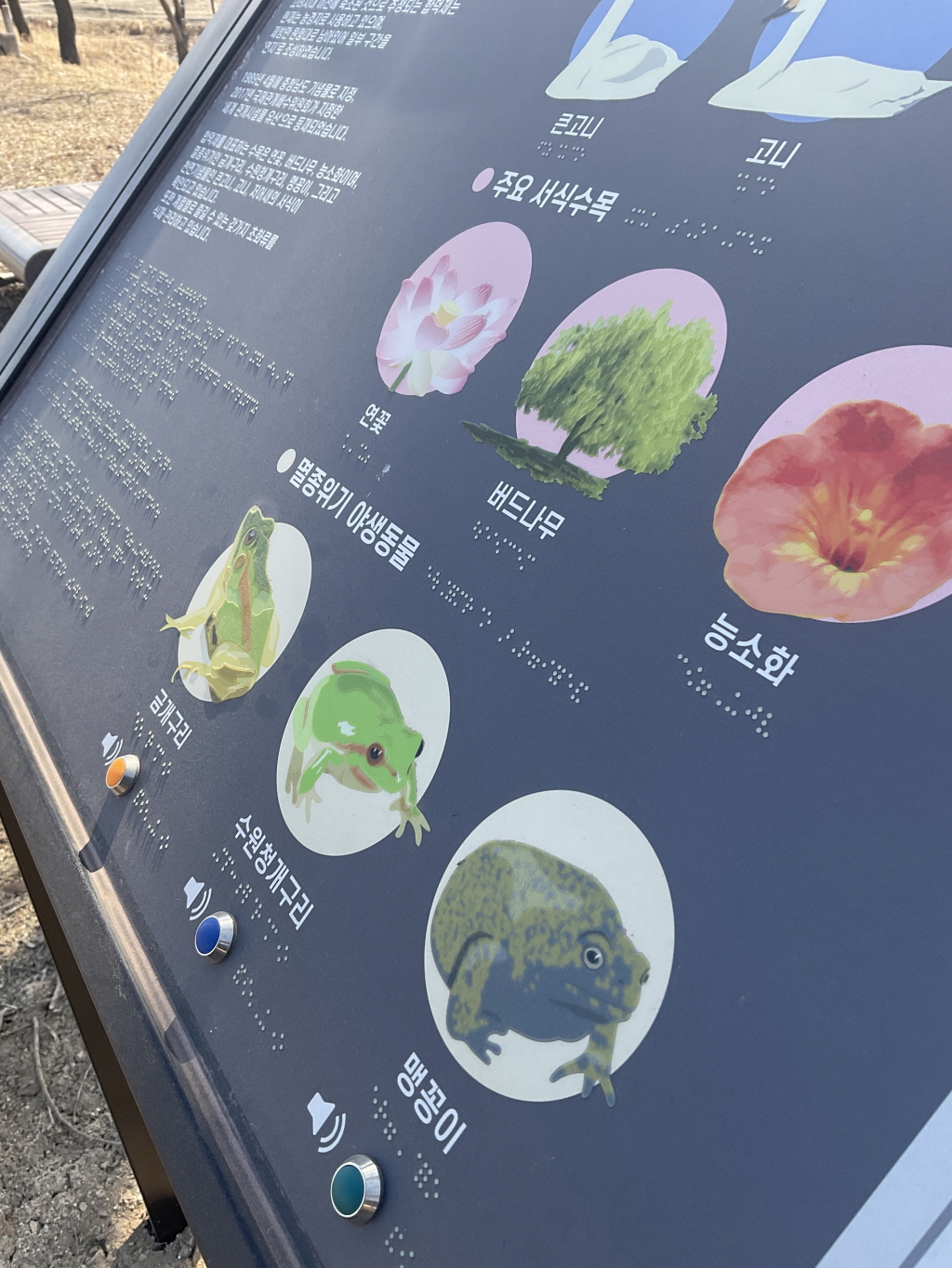 생태 오디오 콘텐츠