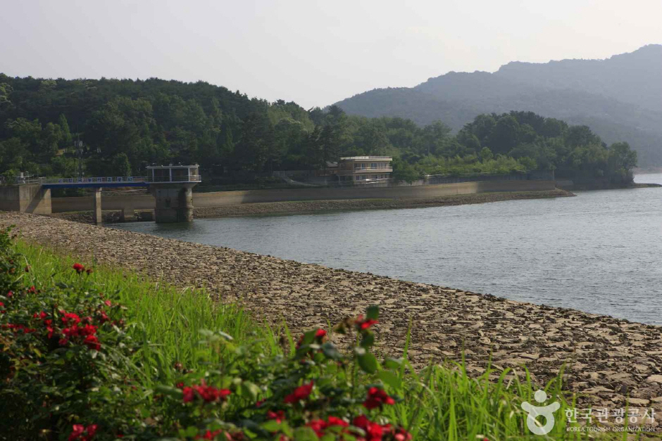 불갑저수지 수변공원 대표이미지2