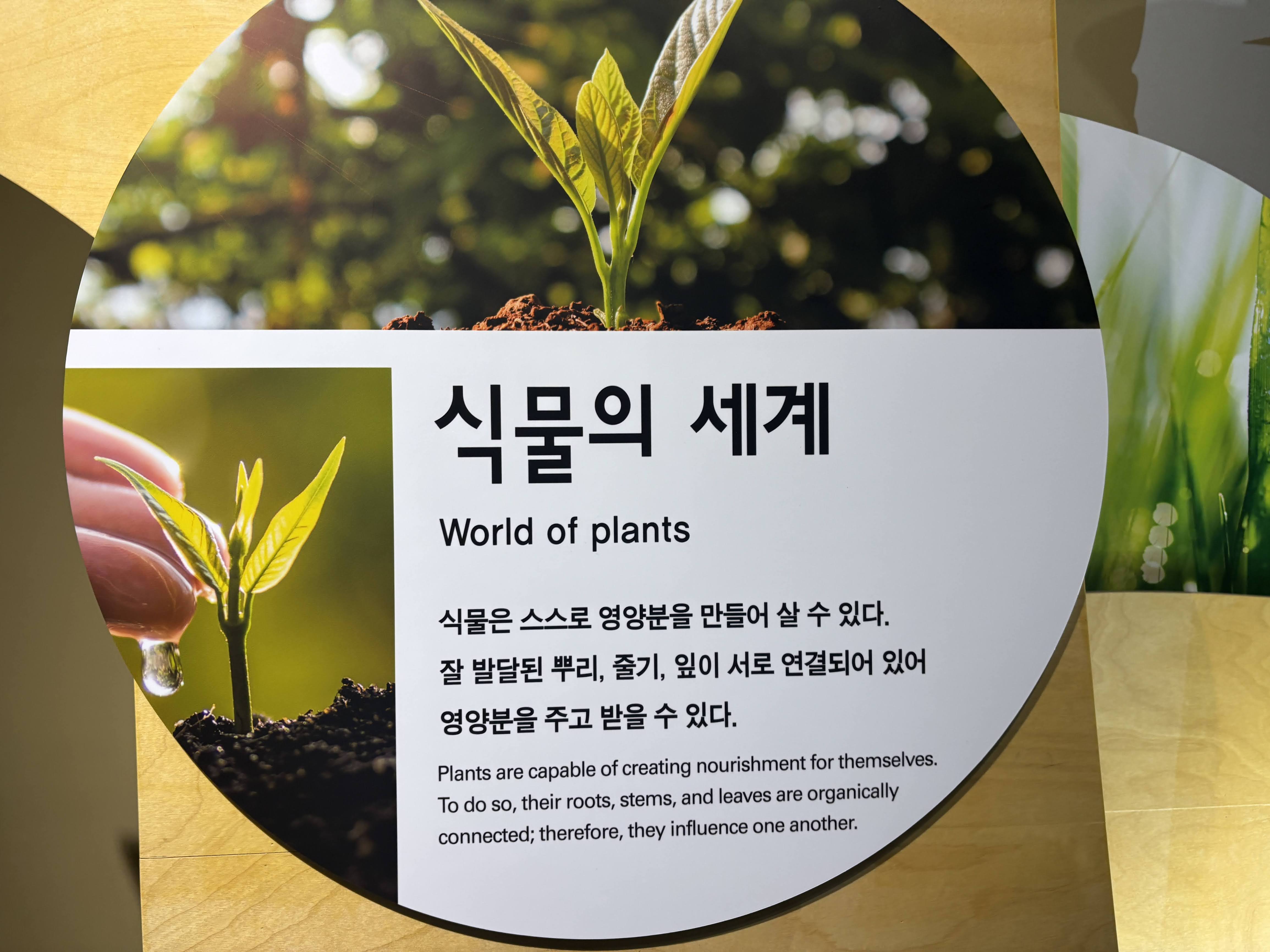 전시공간 쉬운 정보, 촉각 안내