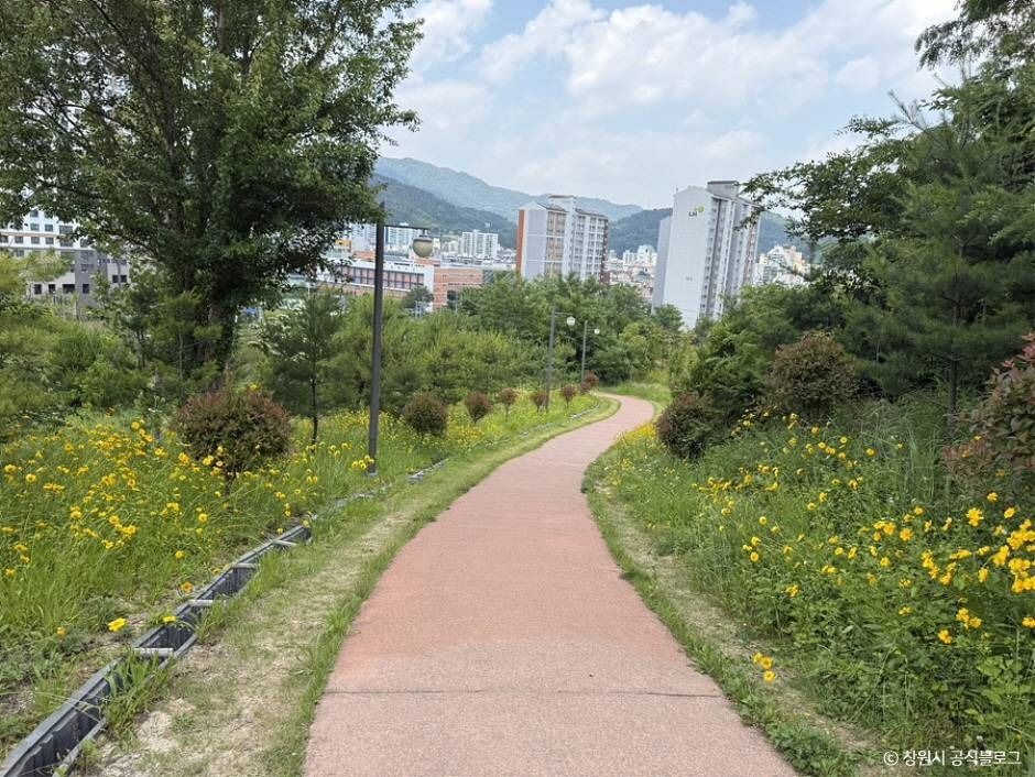 사화공원 물놀이장 대표 이미지