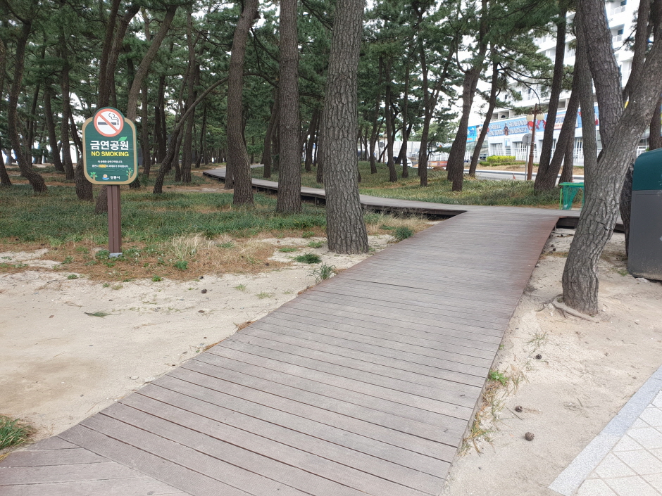 해변 인접 데크 로드