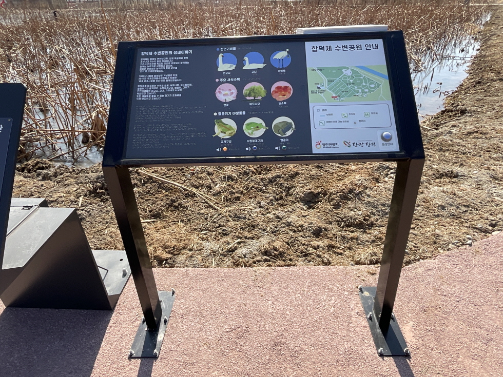 생태 오디오 콘텐츠