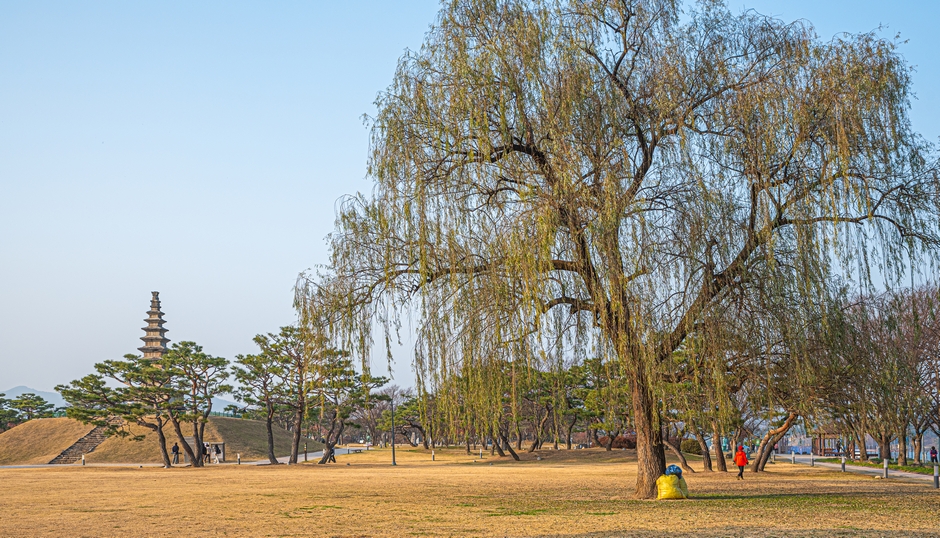 충주 중앙탑사적공원 대표이미지