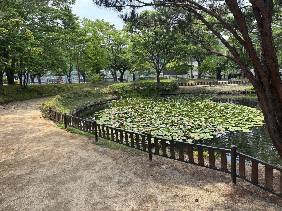 무장애 보행로