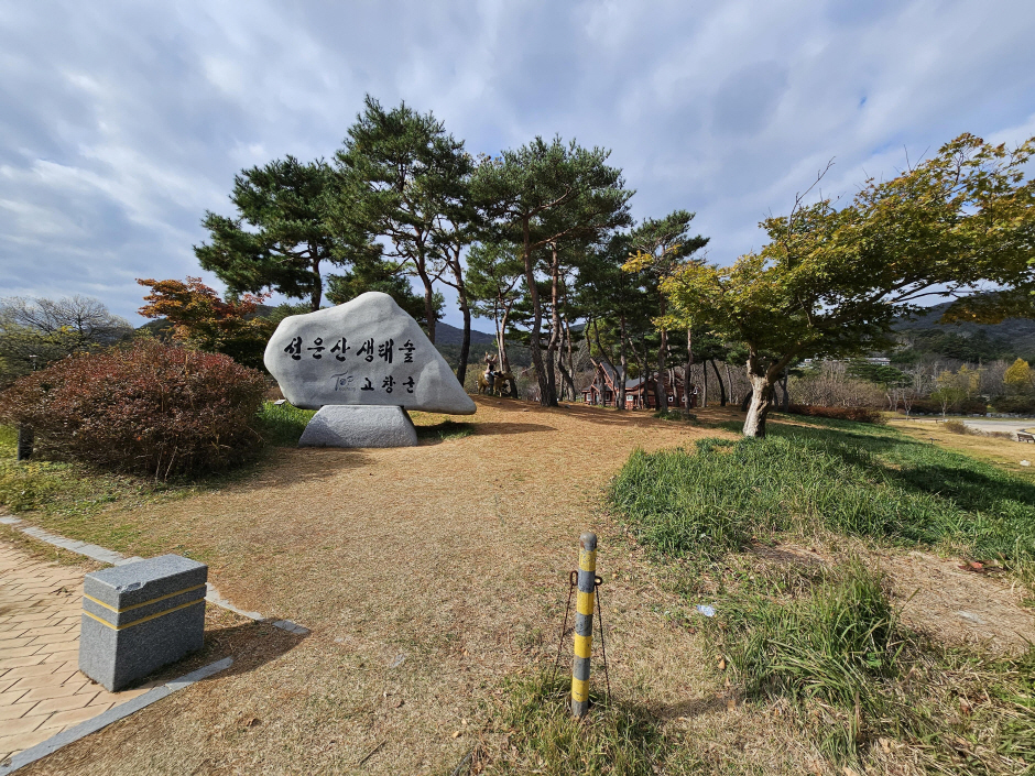 고창 선운산도립공원4