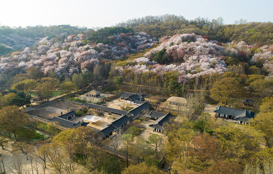 용인 한국민속촌3