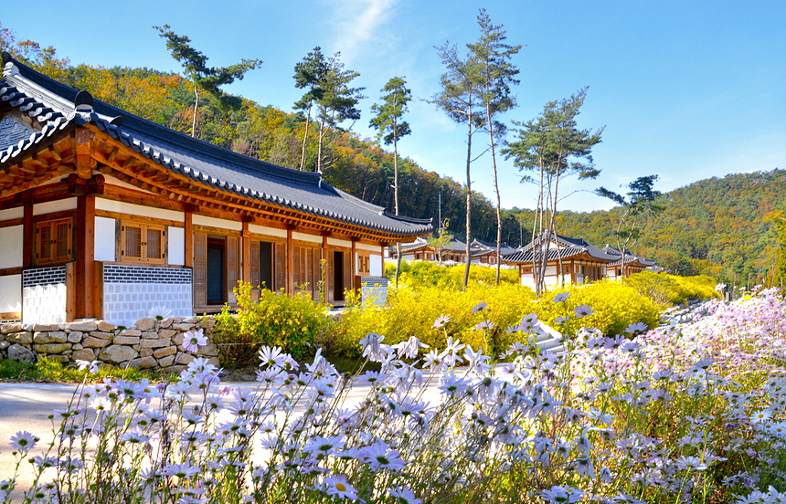 숲체험휴양마을