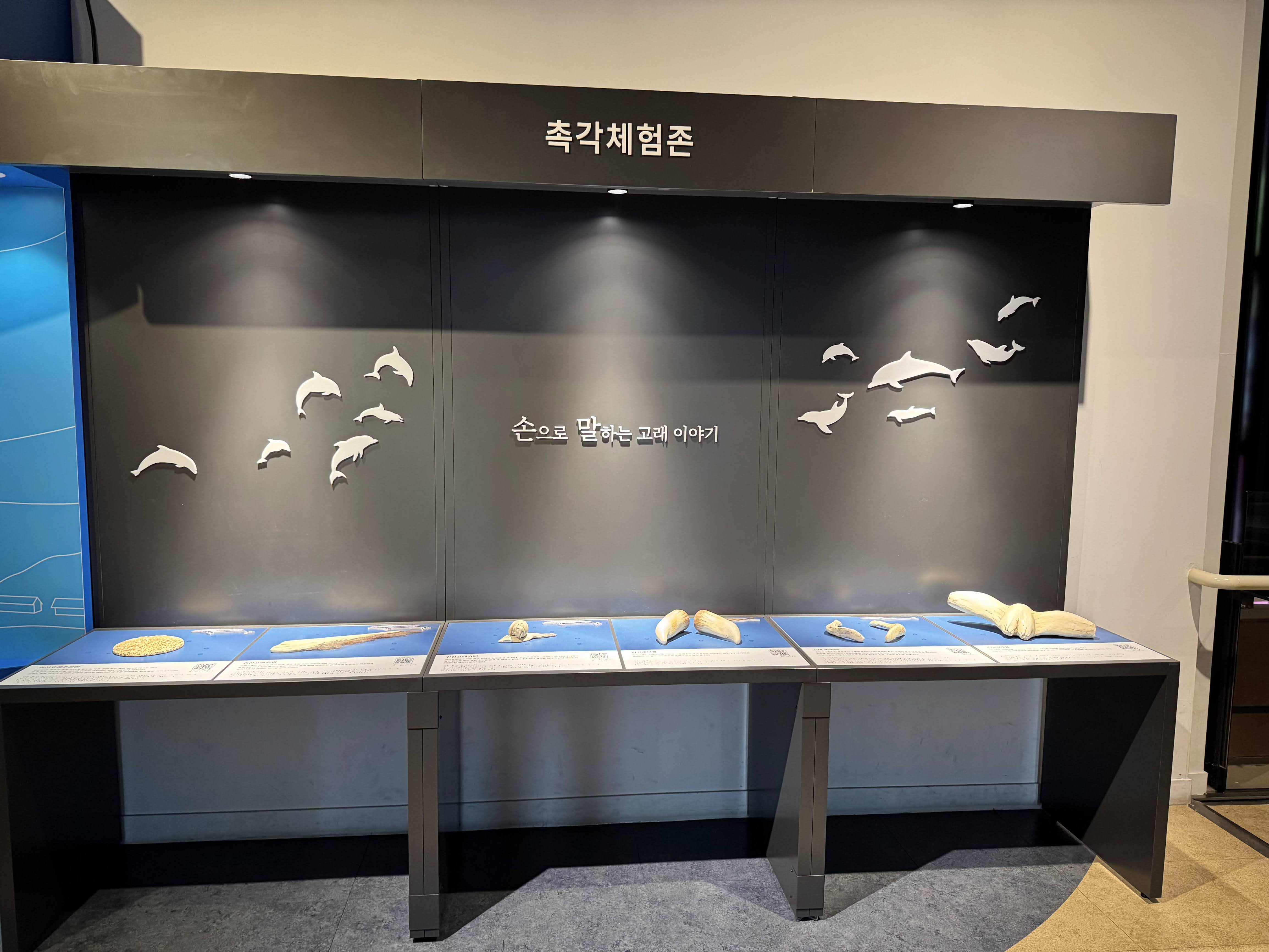 촉각 체험