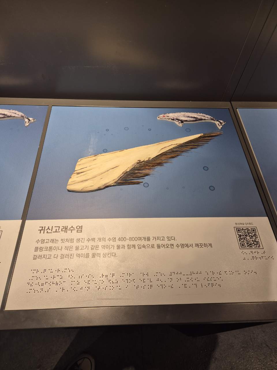 촉각 체험