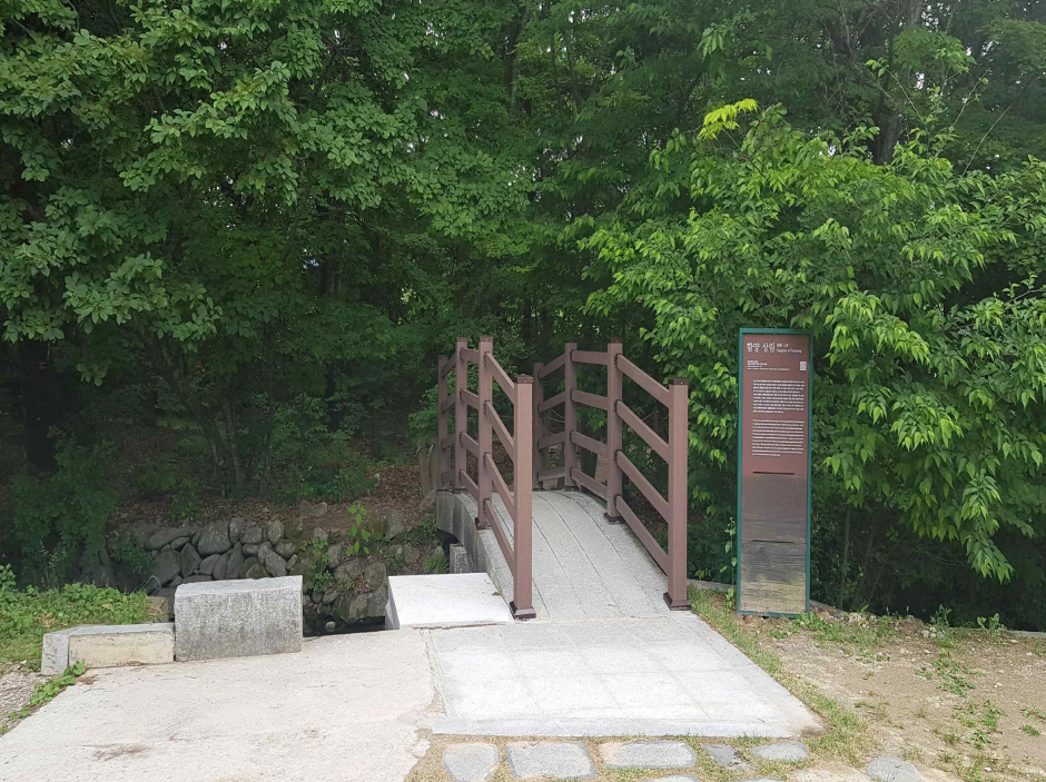 보행로3