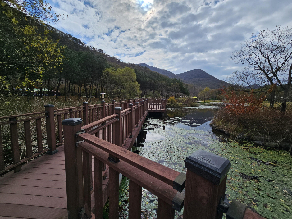 고창 선운산도립공원1