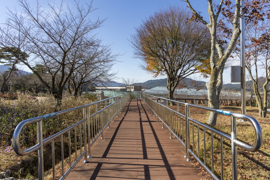자생공원 진입 경사로