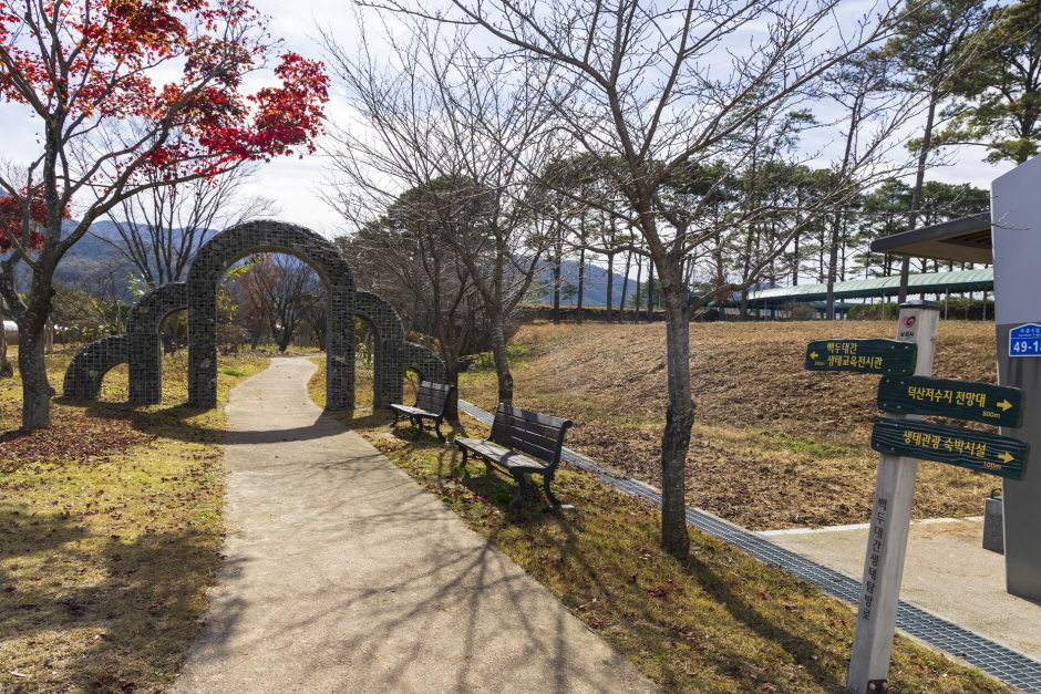 관광약자를 위한 보행로