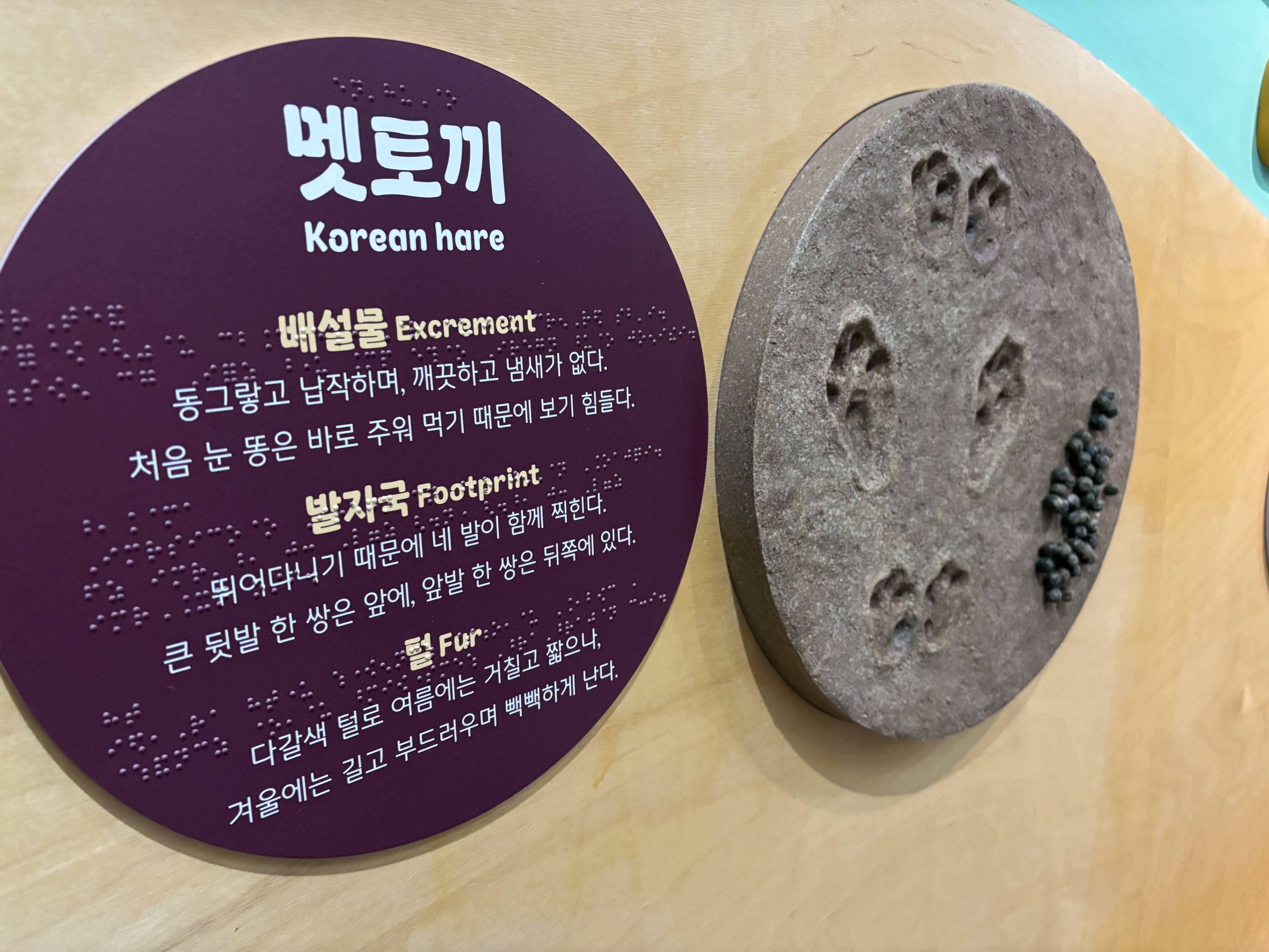 전시공간 쉬운 정보, 촉각 안내