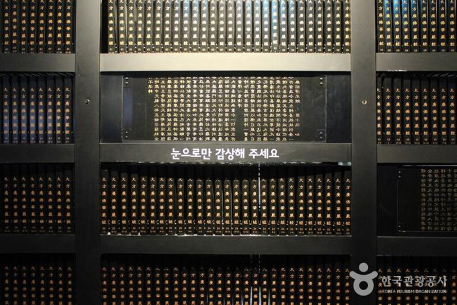 합천 대장경 테마파크2