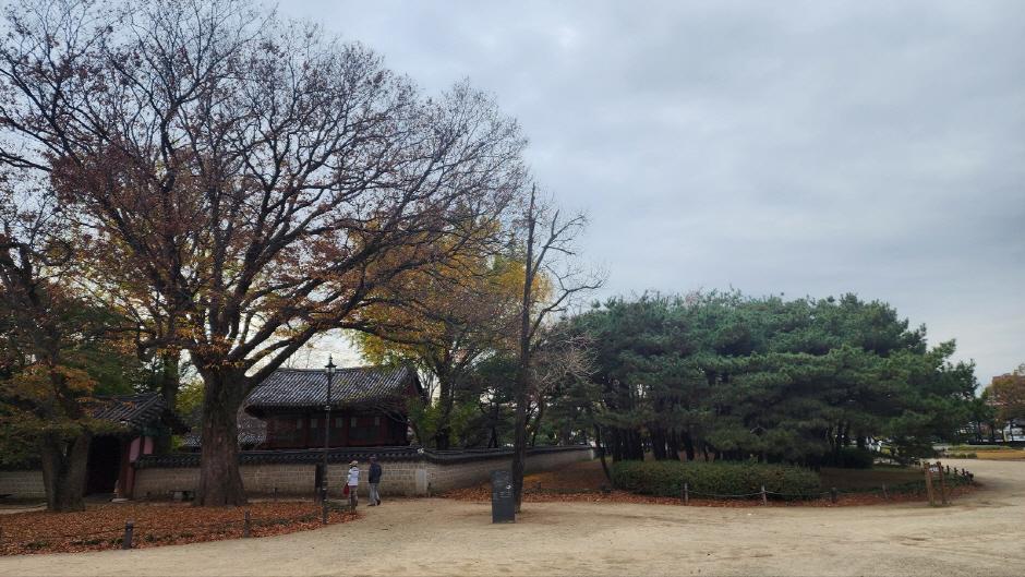 전주 경기전 대표사진2