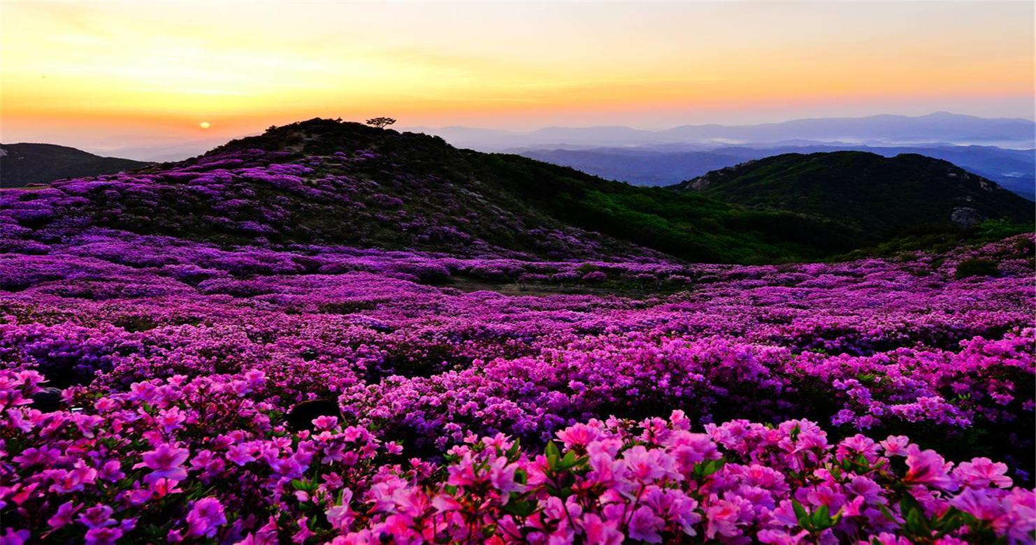 황매산군립공원