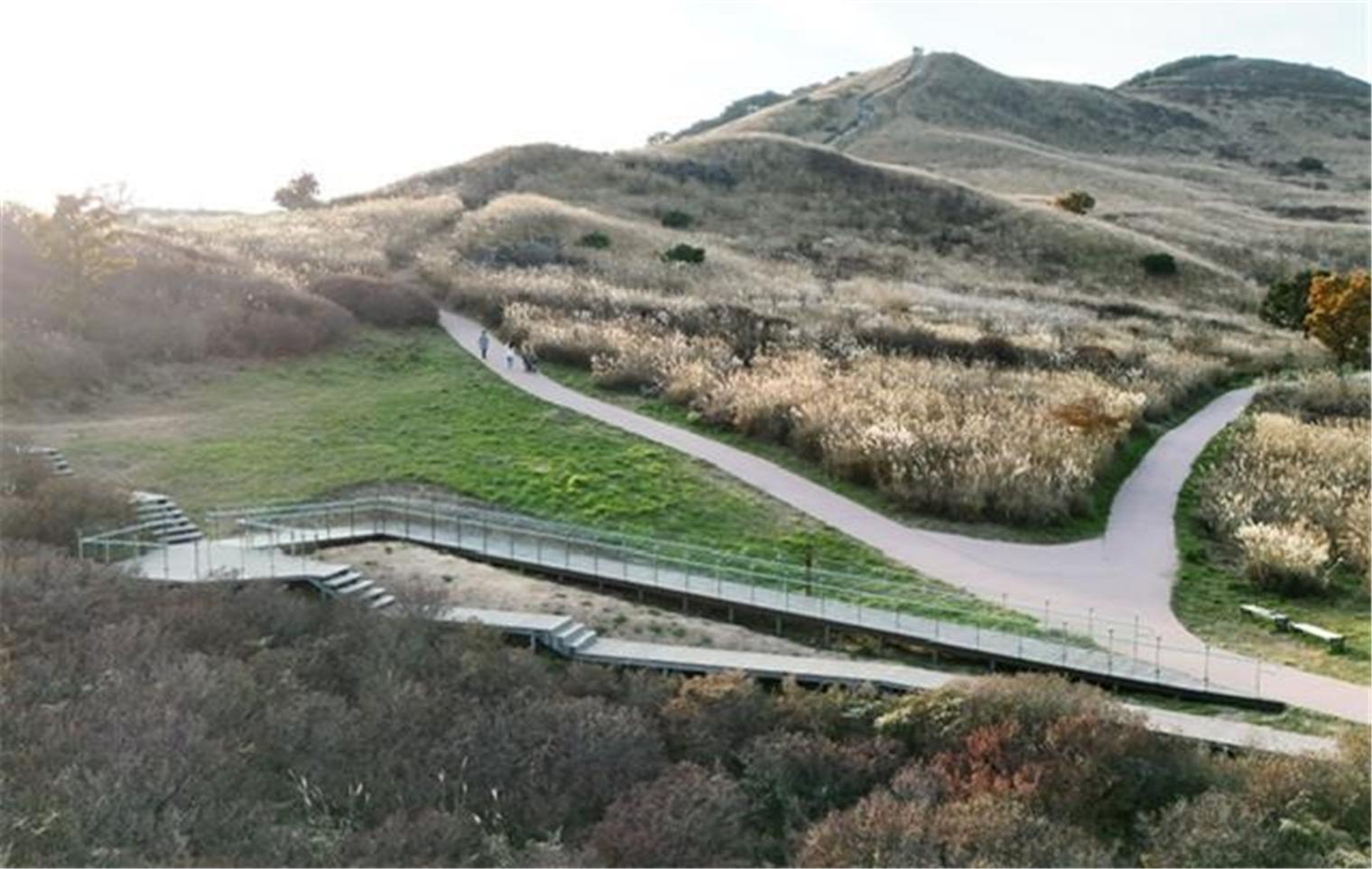 황매산군립공원 보행로